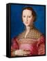 Portrait of Eleanor of Toledo, c.1543-Agnolo Bronzino-Framed Stretched Canvas