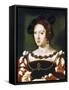 Portrait of Eleanor, Queen of France, C1530-1540-Joos Van Cleve-Framed Stretched Canvas