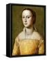 Portrait of Eleanora D'Este, Half-Length, Wearing a Gold Dress-Alessandro Allori-Framed Stretched Canvas