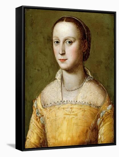 Portrait of Eleanora D'Este, Half-Length, Wearing a Gold Dress-Alessandro Allori-Framed Stretched Canvas