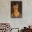 Portrait of Elisabeth Fuss-Amore-Amedeo Modigliani-Framed Stretched Canvas displayed on a wall