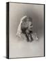 Portrait of Elisabeth of Wied (1843-1916), Queen consort of Romania-French Photographer-Stretched Canvas