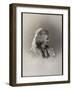 Portrait of Elisabeth of Wied (1843-1916), Queen consort of Romania-French Photographer-Framed Giclee Print