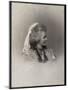 Portrait of Elisabeth of Wied (1843-1916), Queen consort of Romania-French Photographer-Mounted Giclee Print