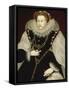 Portrait of Elizabeth I-Georg Gower-Framed Stretched Canvas