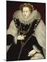 Portrait of Elizabeth I-Georg Gower-Mounted Giclee Print