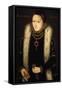 Portrait of Elizabeth I-null-Framed Stretched Canvas