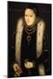 Portrait of Elizabeth I-null-Mounted Giclee Print