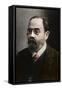 Portrait of Emile Zola (1840-1902) French writer-French Photographer-Framed Stretched Canvas