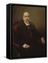 Portrait of Emilio Castelar Y Ripoll, Spanish Statesman, Orator and Writer-Joaquin Sorolla y Bastida-Framed Stretched Canvas