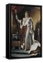 Portrait of Emperor Napoléon I Bonaparte (1769-182) in His Coronation Robes, Ca 1804-François Pascal Simon Gérard-Framed Stretched Canvas