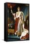 Portrait of Emperor Napoléon I Bonaparte (1769-182) in His Coronation Robes-François Pascal Simon Gérard-Framed Stretched Canvas