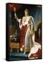 Portrait of Emperor Napoléon I Bonaparte (1769-182) in His Coronation Robes-François Pascal Simon Gérard-Framed Stretched Canvas