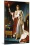 Portrait of Emperor Napoléon I Bonaparte (1769-182) in His Coronation Robes-François Pascal Simon Gérard-Mounted Premium Giclee Print