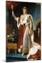 Portrait of Emperor Napoléon I Bonaparte (1769-182) in His Coronation Robes-François Pascal Simon Gérard-Mounted Giclee Print