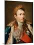 Portrait of Emperor Napoléon I Bonaparte (1769-182)-Andrea Appiani-Mounted Giclee Print