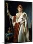 Portrait of Emperor Napoléon I Bonaparte, C1804-Francois Pascal Simon Gerard-Mounted Giclee Print