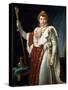 Portrait of Emperor Napoléon I Bonaparte, C1804-Francois Pascal Simon Gerard-Stretched Canvas
