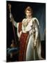 Portrait of Emperor Napoléon I Bonaparte, C1804-Francois Pascal Simon Gerard-Mounted Giclee Print