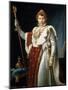 Portrait of Emperor Napoléon I Bonaparte, C1804-Francois Pascal Simon Gerard-Mounted Giclee Print