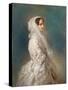 Portrait of Empress Alexandra Fyodorovna (Charlotte of Prussi), 1856-Franz Xaver Winterhalter-Stretched Canvas