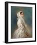 Portrait of Empress Alexandra Fyodorovna (Charlotte of Prussi), 1856-Franz Xaver Winterhalter-Framed Giclee Print