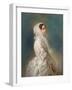 Portrait of Empress Alexandra Fyodorovna (Charlotte of Prussi), 1856-Franz Xaver Winterhalter-Framed Giclee Print