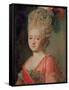 Portrait of Empress Maria Fyodorina, 1770s-Alexander Roslin-Framed Stretched Canvas