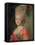 Portrait of Empress Maria Fyodorina, 1770s-Alexander Roslin-Framed Stretched Canvas