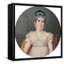 Portrait of Empress Marie Josephine (1763 - 1814), Wife of Napoleon-Pierre Louis Bouvier-Framed Stretched Canvas