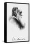 Portrait of English Naturalist Charles Darwin-Science Photo Library-Framed Stretched Canvas