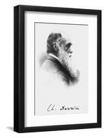 Portrait of English Naturalist Charles Darwin-Science Photo Library-Framed Photographic Print