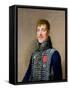 Portrait of Eugene De Beauharnais (1781-1824) 1805-Michel-martin Drolling-Framed Stretched Canvas