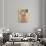 Portrait of Eugenia (M?) Primavesi-Gustav Klimt-Art Print displayed on a wall