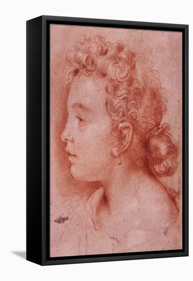 Portrait of Faustina Maratti-Carlo Maratta-Framed Stretched Canvas
