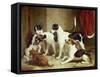 Portrait of Favorite Foxhounds-Thomas Woodward-Framed Stretched Canvas