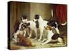 Portrait of Favorite Foxhounds-Thomas Woodward-Stretched Canvas
