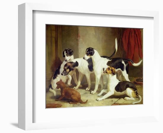 Portrait of Favorite Foxhounds-Thomas Woodward-Framed Giclee Print