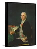 Portrait of Felix Colon De Larriategui, 1794-Francisco de Goya-Framed Stretched Canvas