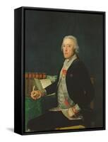 Portrait of Felix Colon De Larriategui, 1794-Francisco de Goya-Framed Stretched Canvas