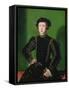 Portrait of Ferdinand II (1529-1595), Archduke of Austria-Guillaume Scrots-Framed Stretched Canvas