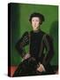 Portrait of Ferdinand II (1529-1595), Archduke of Austria-Guillaume Scrots-Stretched Canvas