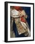 Portrait of Ferdinand IV-Anton Raphael Mengs-Framed Giclee Print