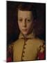 Portrait of Ferdinando De' Medici (1549-1609) (Ferdinand I, Grand Duke of Tuscany)-Agnolo Bronzino-Mounted Giclee Print