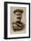 Portrait of Field Marshal, Earl Kitchener-null-Framed Photographic Print