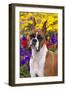 Portrait of -Flashy Fawn- Boxer by Garden, Geneva, Illinois, USA-Lynn M^ Stone-Framed Photographic Print