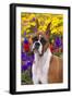 Portrait of -Flashy Fawn- Boxer by Garden, Geneva, Illinois, USA-Lynn M^ Stone-Framed Photographic Print