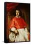 Portrait of Flavio Chigi-Jacob Ferdinand Voet-Framed Stretched Canvas