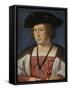 Portrait of Floris Van Egmond, Count of Buren En Leerdam-Jan Gossaert-Framed Stretched Canvas