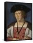 Portrait of Floris Van Egmond, Count of Buren En Leerdam-Jan Gossaert-Framed Stretched Canvas